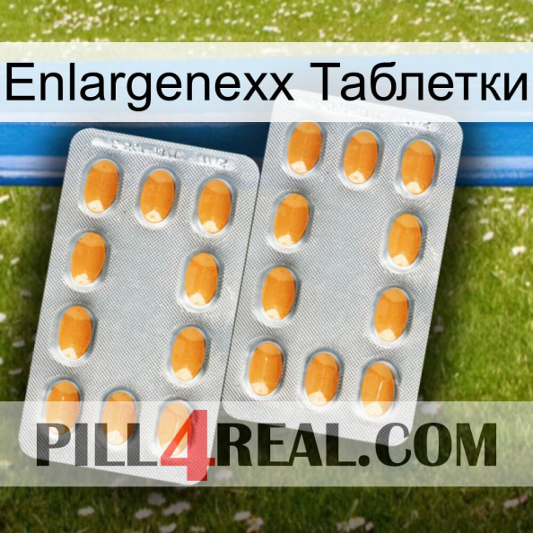 Enlargenexx Таблетки cialis4.jpg